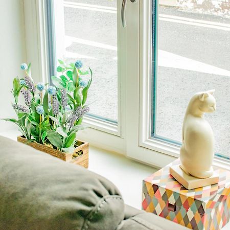 Cosy Retreat In The City Centre 골웨이 외부 사진